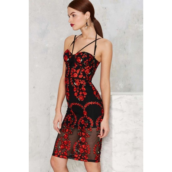 SOLD Sworn to Secrecy mesh &rose detail dress - Picture 2 of 8